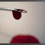 ich-war-mal-wieder-blutplasma-spenden-banner