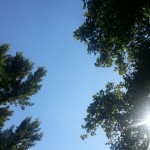 sommer2012